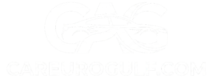 logogemini generated image y6jid6y6jid6y6ji